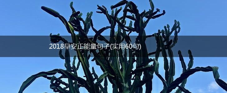 2018早安正能量句子(实用60句),第1张