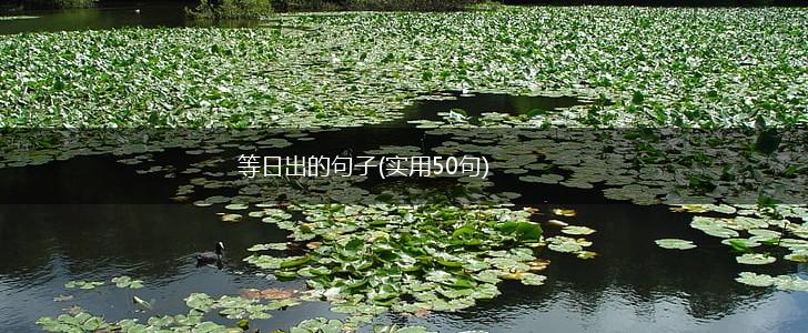 等日出的句子(实用50句),第1张