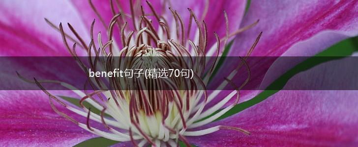 benefit句子(精选70句),第1张