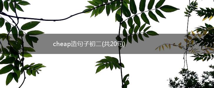 cheap造句子初二(共20句),第1张