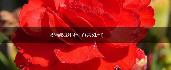 祝福收获的句子(共51句),第1张