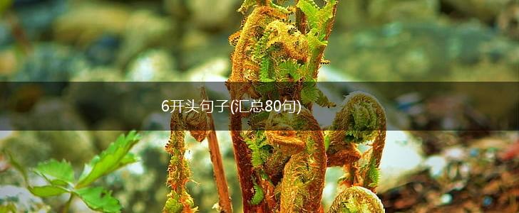 6开头句子(汇总80句),第1张