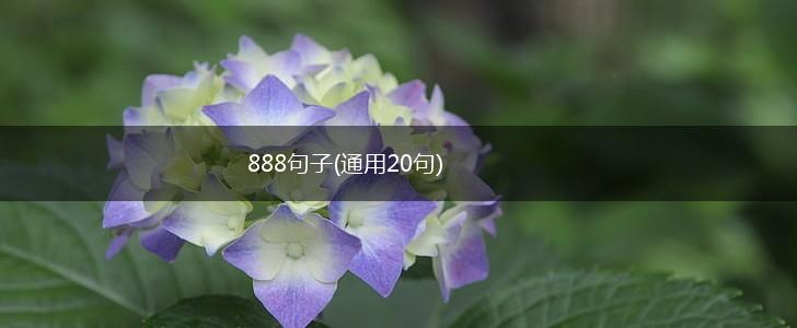 888句子(通用20句),第1张