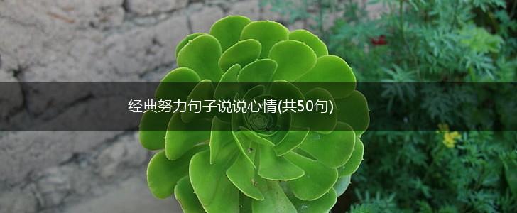 经典努力句子说说心情(共50句),第1张
