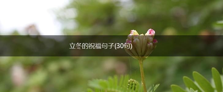 立冬的祝福句子(30句),第1张
