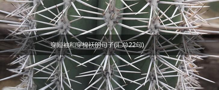 穿短袖和穿棉袄的句子(汇总22句),第1张