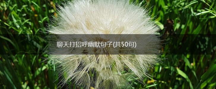 聊天打招呼幽默句子(共50句),第1张