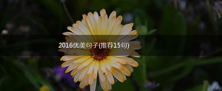 2016优美句子(推荐15句),第1张