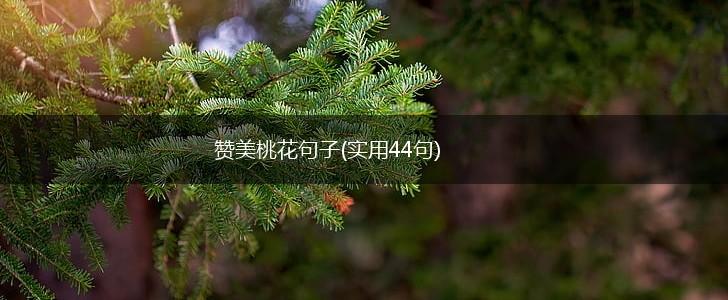赞美桃花句子(实用44句),第1张