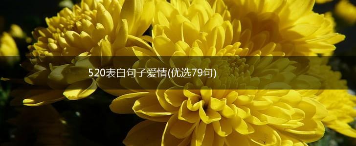 520表白句子爱情(优选79句),第1张