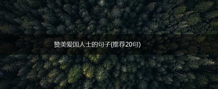 赞美爱国人士的句子(推荐20句),第1张