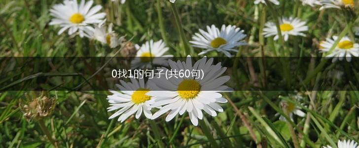 0找1的句子(共60句),第1张