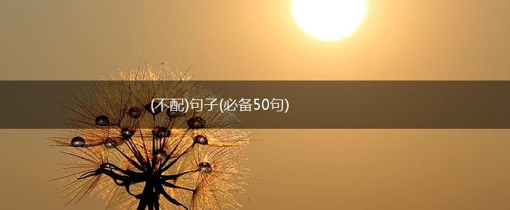 (不配)句子(必备50句),第1张