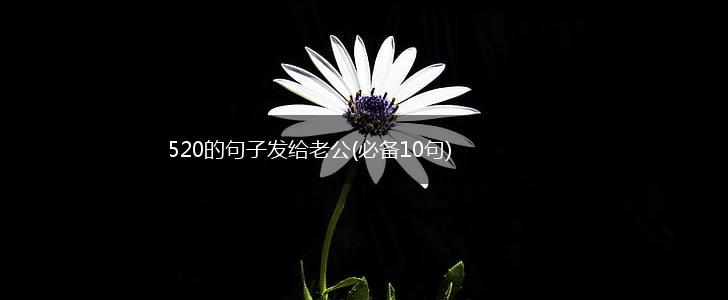 520的句子发给老公(必备10句),第1张