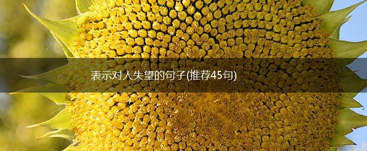 表示对人失望的句子(推荐45句),第1张