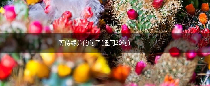 等待缘分的句子(通用20句),第1张