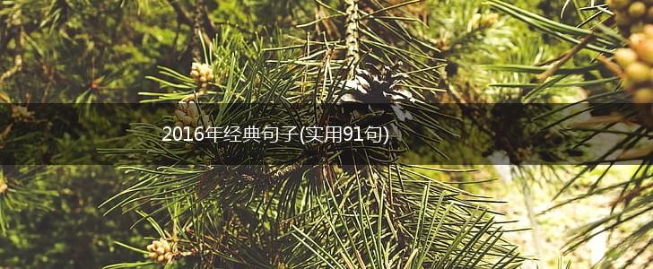 2016年经典句子(实用91句),第1张