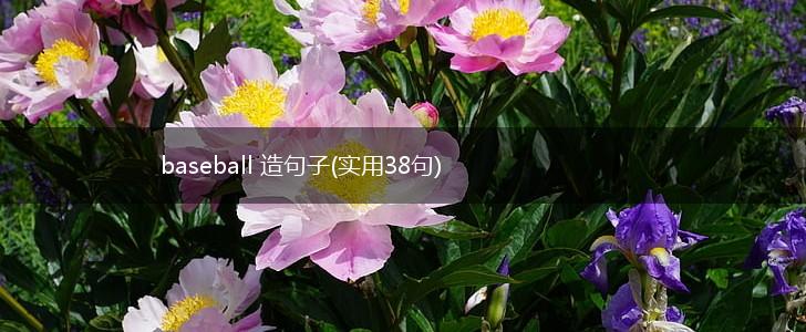 baseball 造句子(实用38句),第1张