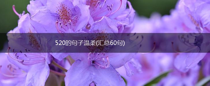520的句子温柔(汇总60句),第1张
