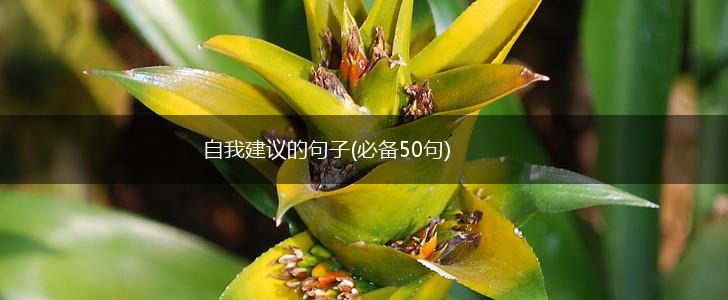 自我建议的句子(必备50句),第1张