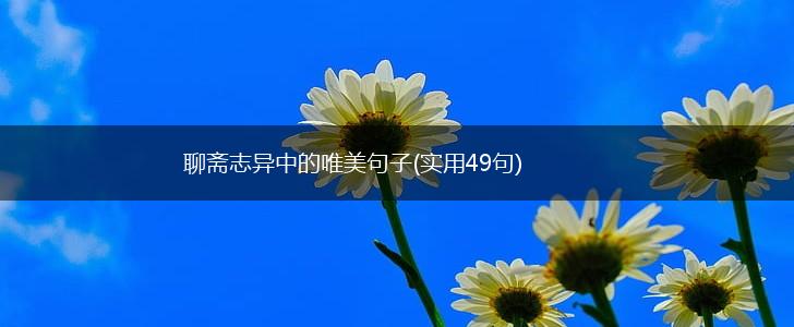 聊斋志异中的唯美句子(实用49句),第1张