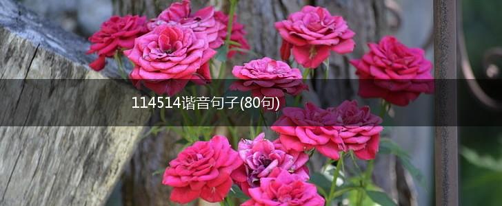 114514谐音句子(80句),第1张