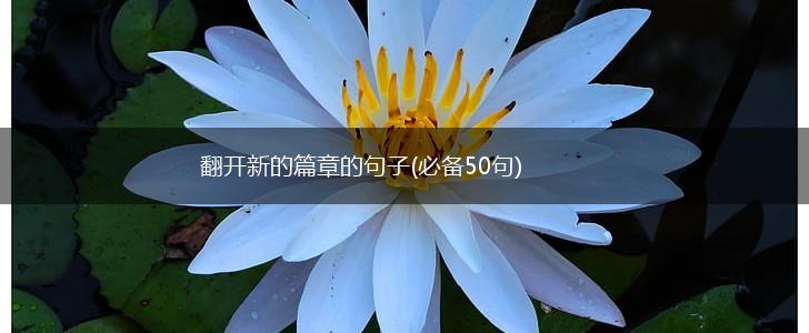 翻开新的篇章的句子(必备50句),第1张