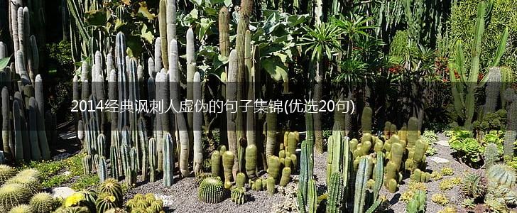 2014经典讽刺人虚伪的句子集锦(优选20句),第1张