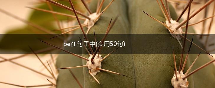be在句子中(实用50句),第1张