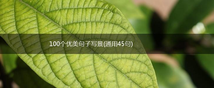 100个优美句子写景(通用45句),第1张