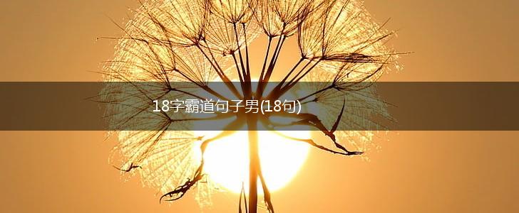 18字霸道句子男(18句),第1张