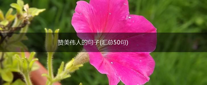 赞美伟人的句子(汇总50句),第1张