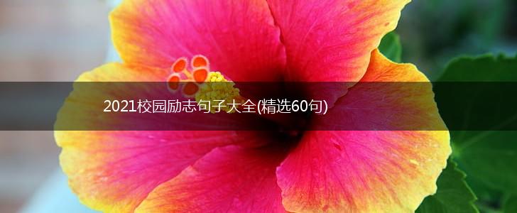 2021校园励志句子大全(精选60句),第1张