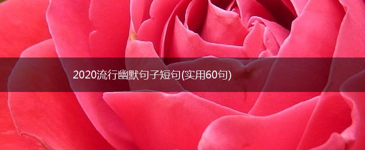 2020流行幽默句子短句(实用60句),第1张