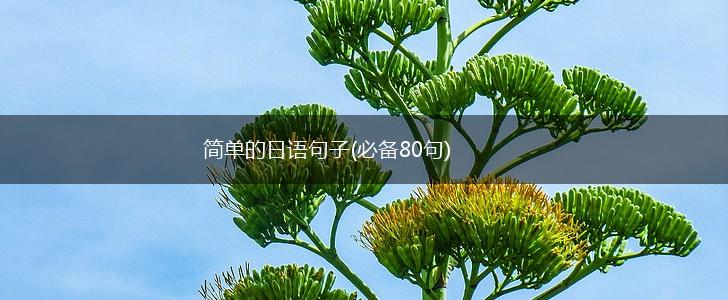 简单的日语句子(必备80句),第1张