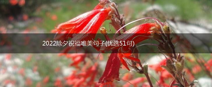 2022除夕祝福唯美句子(优选51句),第1张