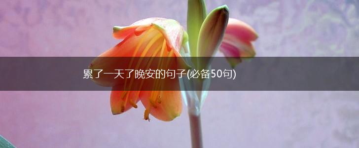 累了一天了晚安的句子(必备50句),第1张