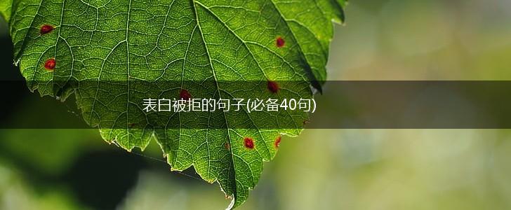 表白被拒的句子(必备40句),第1张