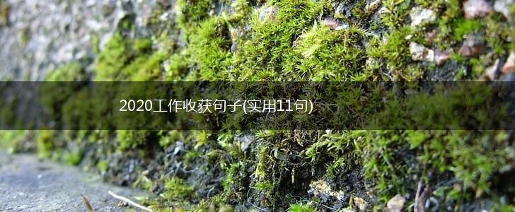 2020工作收获句子(实用11句),第1张