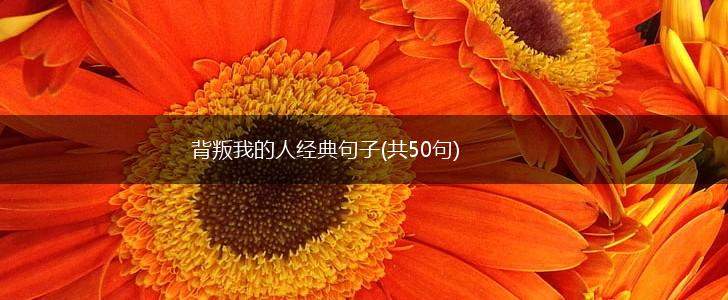 背叛我的人经典句子(共50句),第1张