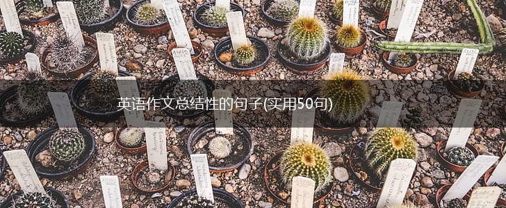 英语作文总结性的句子(实用50句),第1张