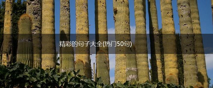 精彩的句子大全(热门50句),第1张