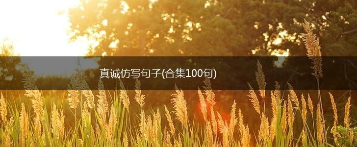 真诚仿写句子(合集100句),第1张