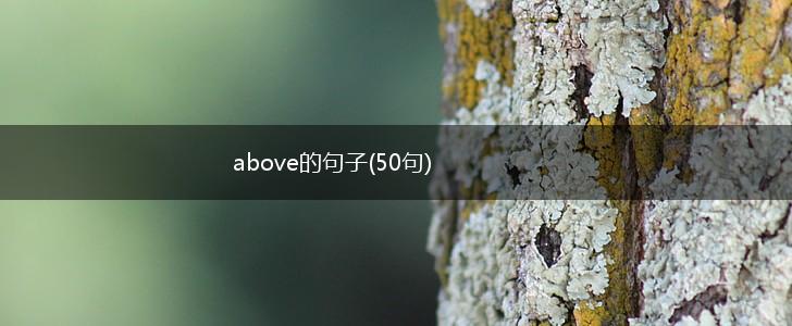 above的句子(50句),第1张