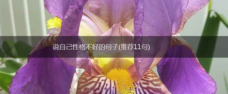 说自己性格不好的句子(推荐11句),第1张