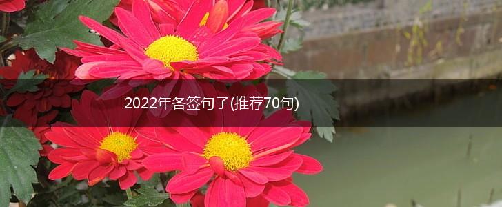 2022年各签句子(推荐70句),第1张