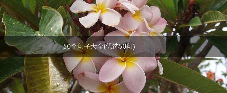 50个句子大全(优选50句),第1张