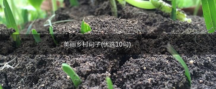 美丽乡村句子(优选10句),第1张