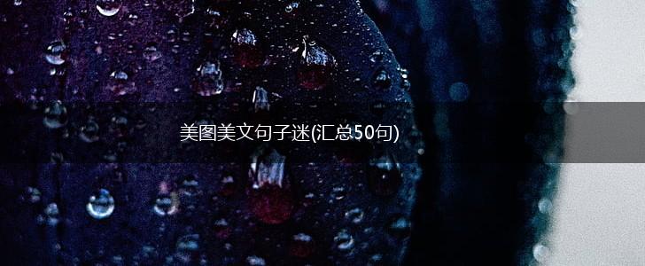 美图美文句子迷(汇总50句),第1张