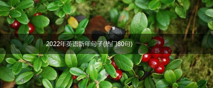 2022年英语新年句子(热门80句),第1张